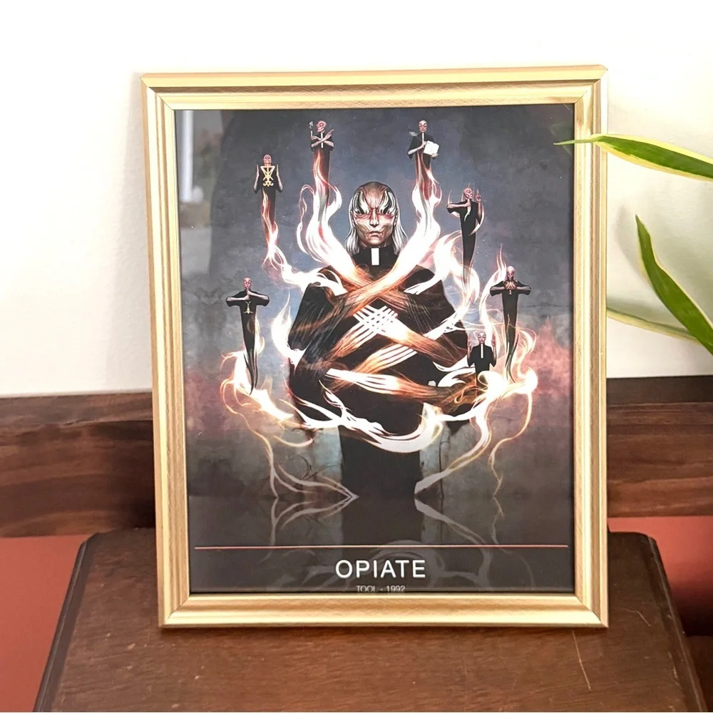 Tool Opiate Music Band Art 1992 Canvas Print Gold Framed Wall Hanging Art Metal